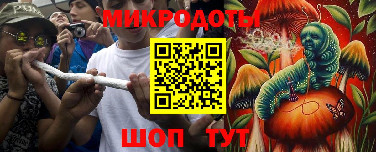 Псилоцибиновые грибы Psilocybe  Вход с VPN  Гулькевичи 